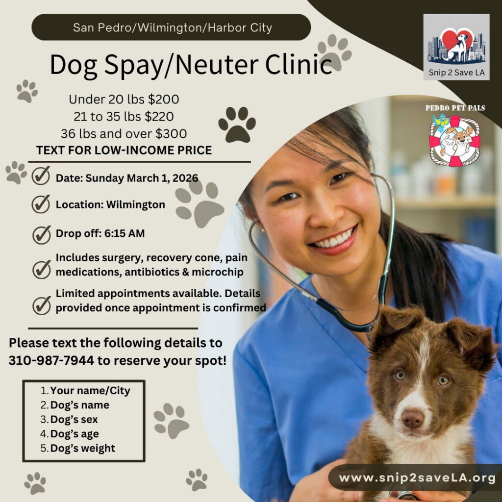 dog spay and neuter clinic san pedro wilmington harbor city snip2savela pedro pet pals
