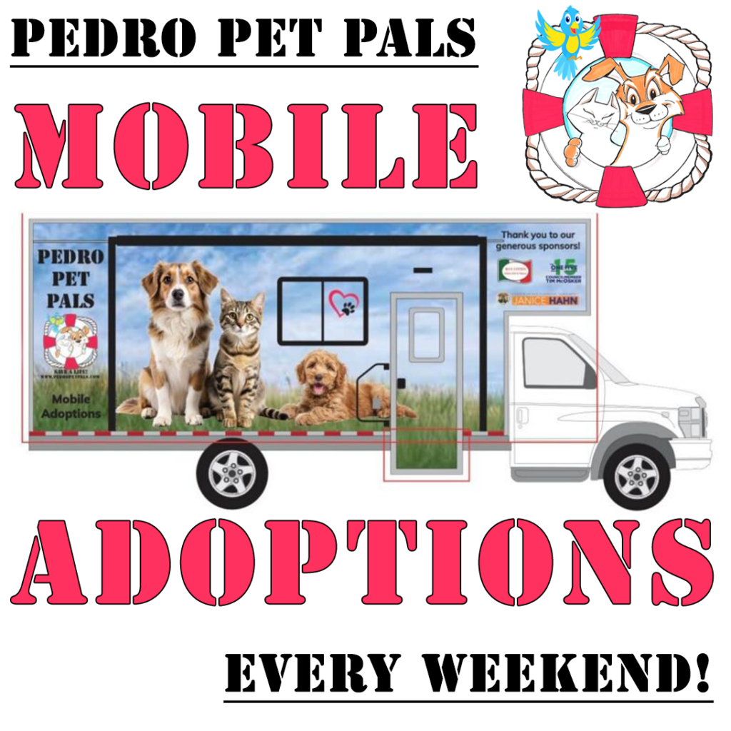 pedro pet pals mobile adoption event south bay cat and dog adoptions