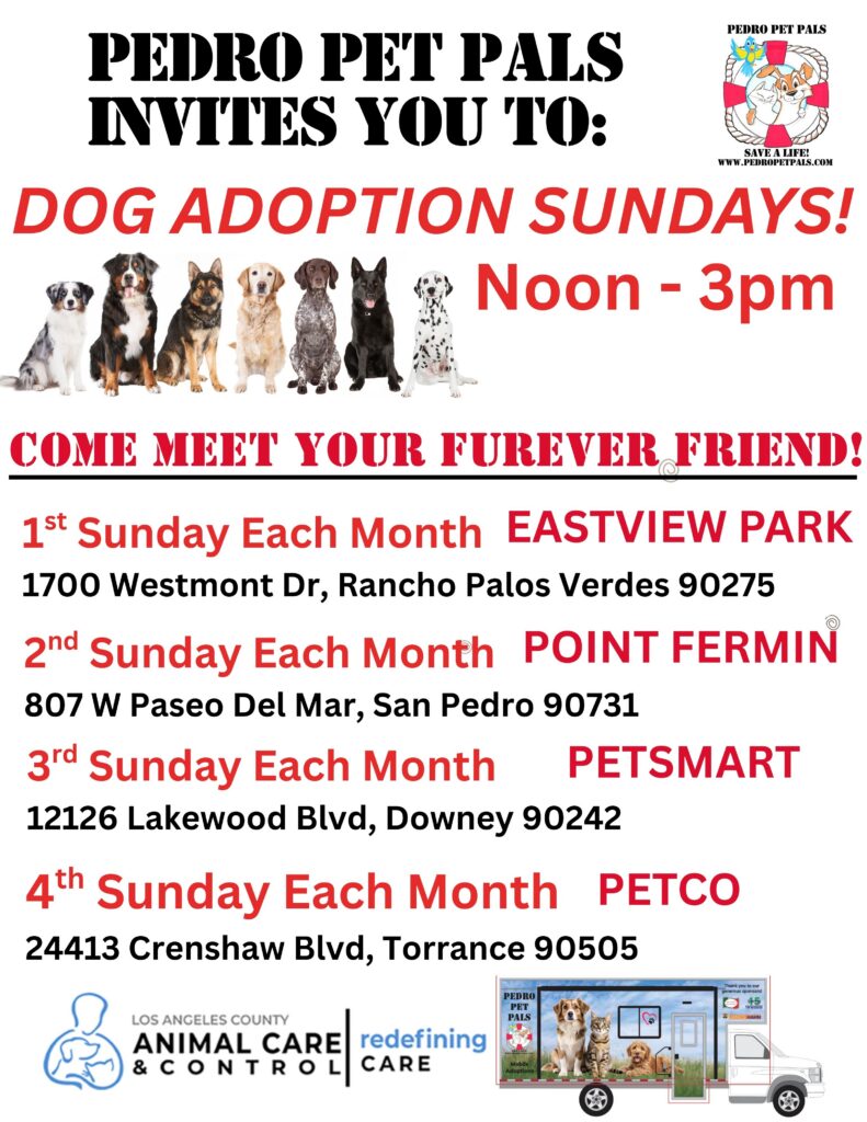 Pedro Pet Pals Monthly Mobile Dog Adoption Sundays