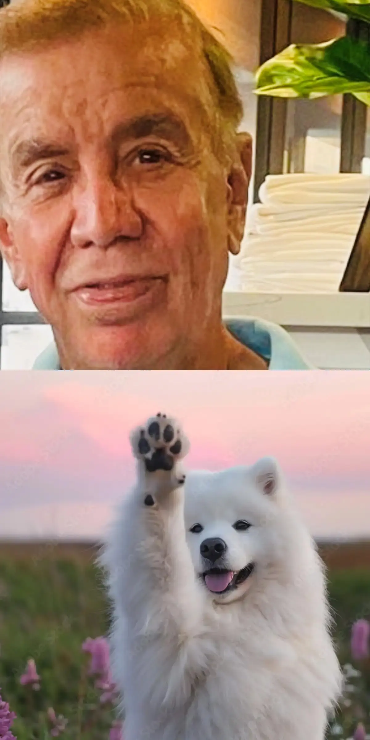 board member of Pedro Pet Pals - Fred Dibernardo